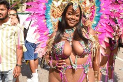 DSC_0559